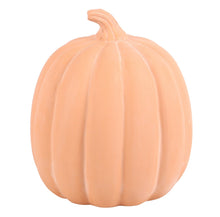 Load image into Gallery viewer, 22cm Terracotta Pumpkin