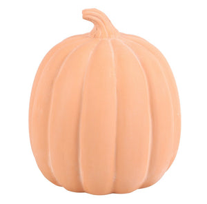 22cm Terracotta Pumpkin