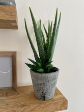 Load image into Gallery viewer, Faux Aloe Vera Plant