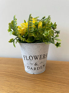Flowers and garden yellow flower pot