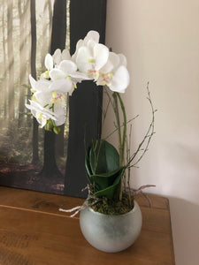 Faux Potted Orchid