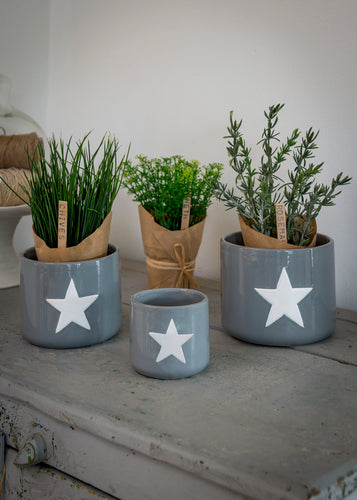 Set of 3, White Star, Grey Ceramic Pots