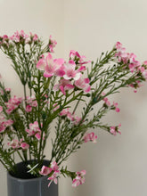 Load image into Gallery viewer, Pink Wax Flower Bunch