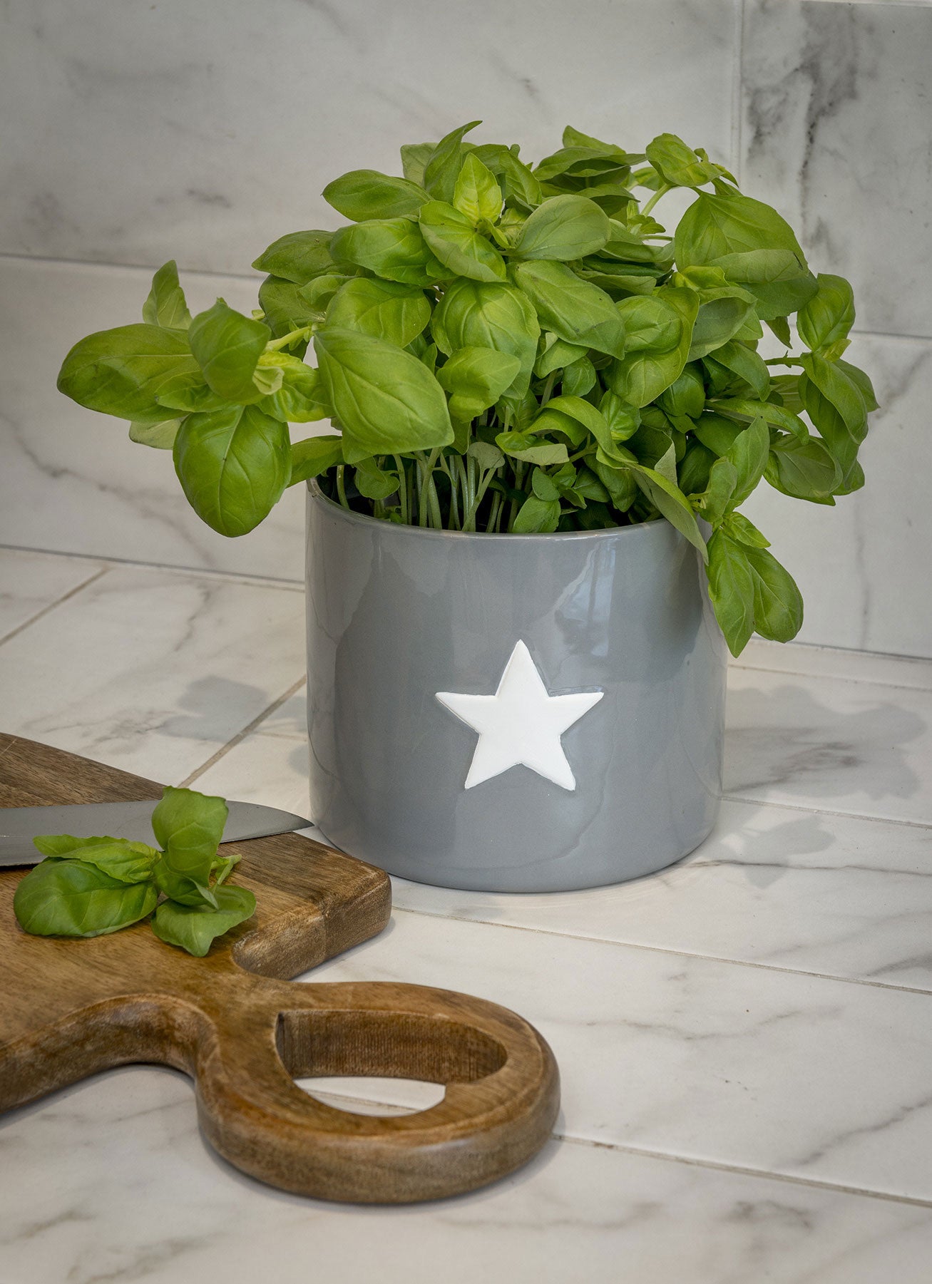 star plant pot Grey Ceramic Flower Pot with white star – SO Interiors England