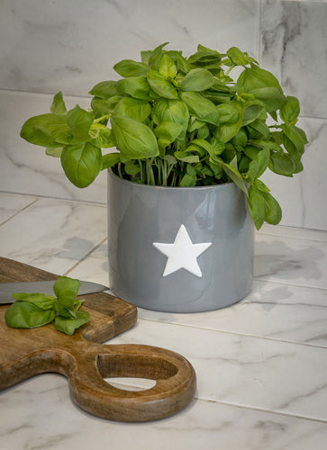 Grey Ceramic Flower Pot with white star