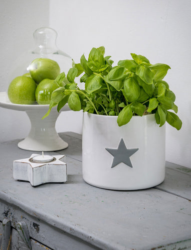 White Ceramic Flower Pot with Grey star
