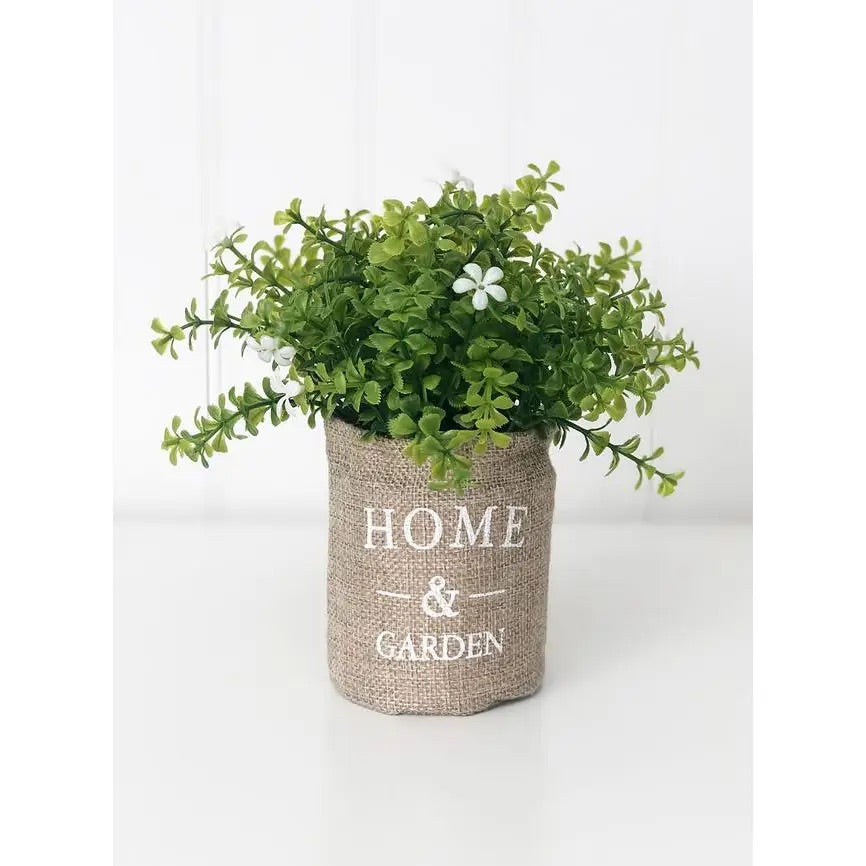 Home and Garden plant